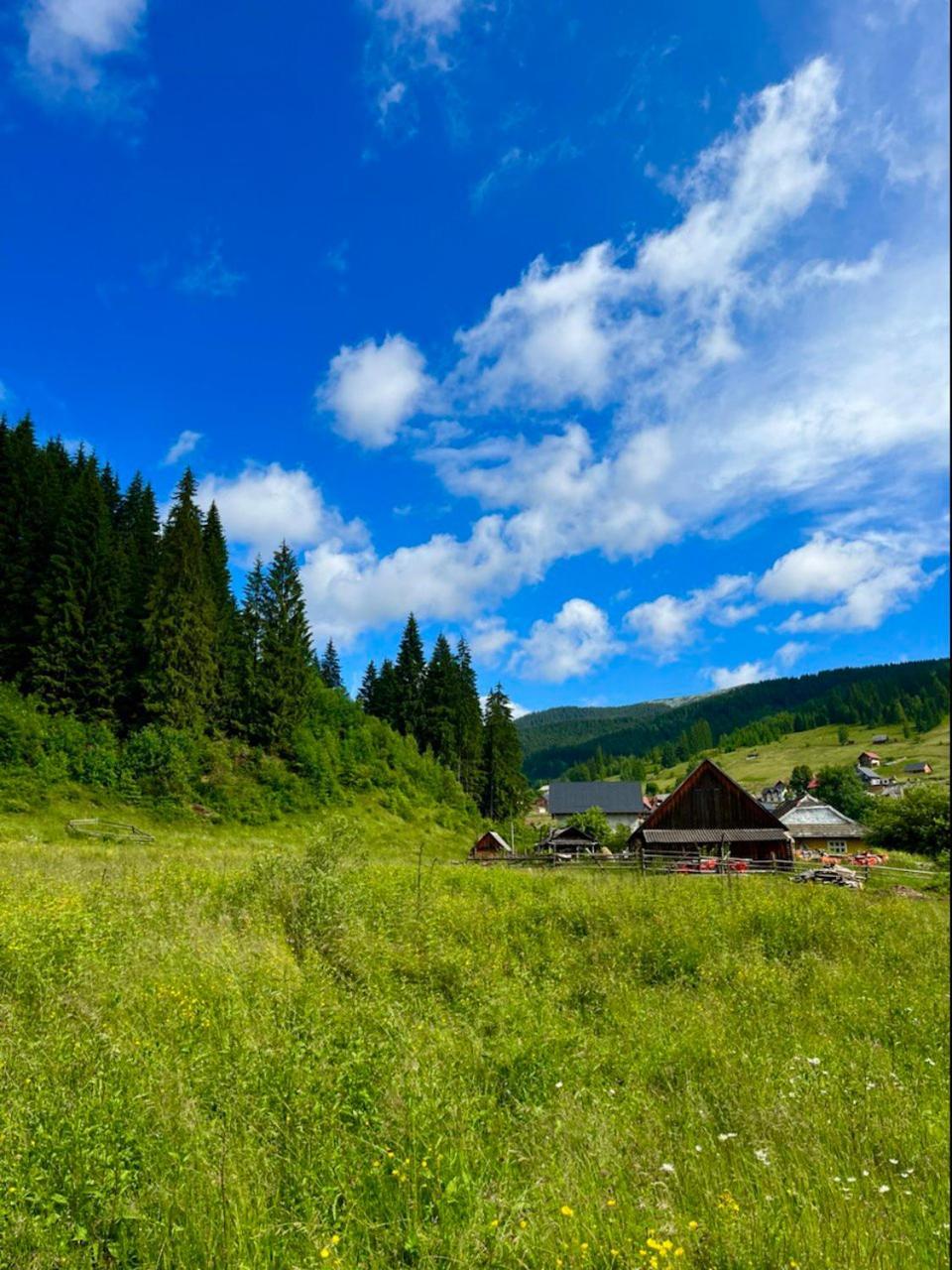 Girskiy Prutets Bukovel Ngoại thất bức ảnh